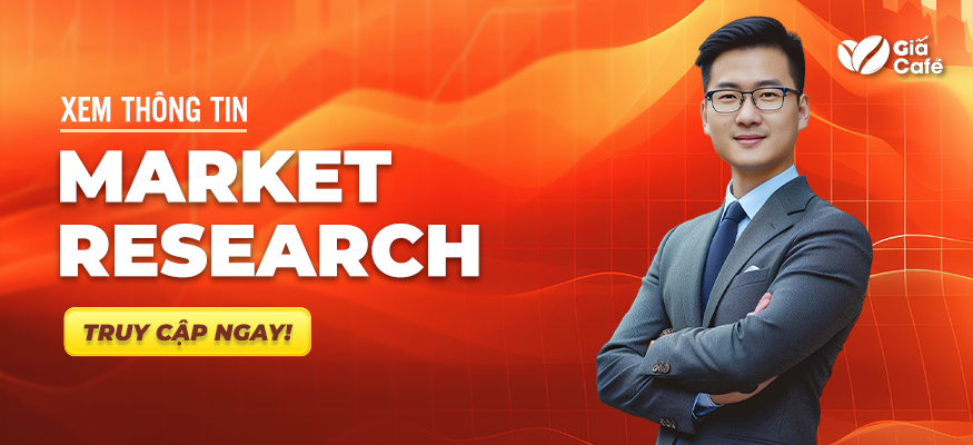 Banner Truy cập ngay xem báo cáo cà phê từ Market Research